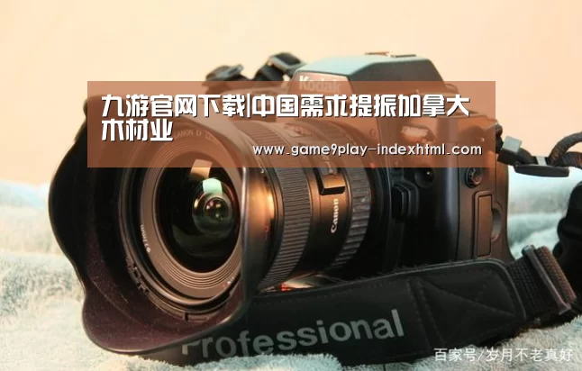 九游官网下载|中国需求提振加拿大木材业(图2)
