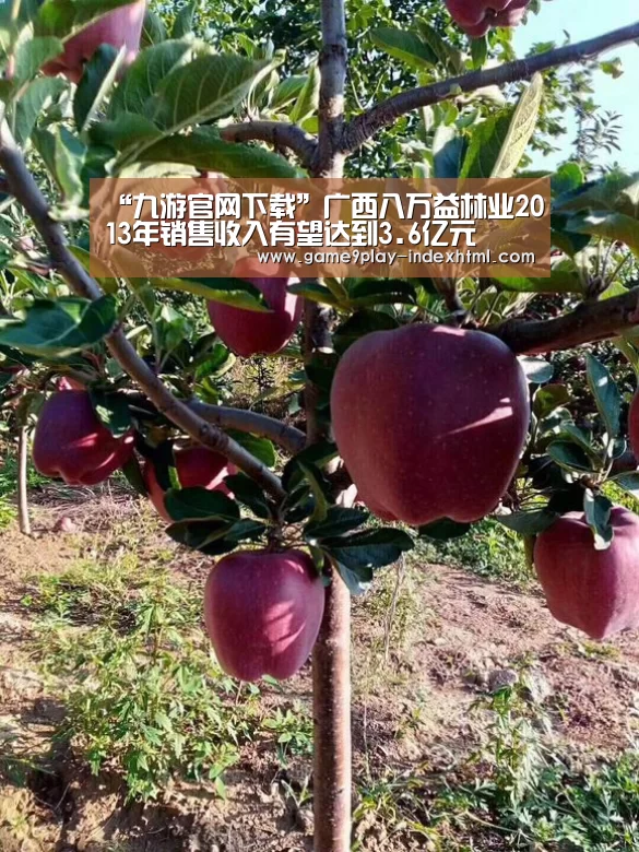 “九游官网下载”广西八万益林业2013年销售收入有望达到3.6亿元(图1)
