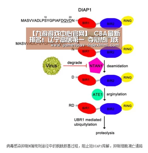 【九游游戏中心官网】
CBA最新排名!辽宁高居第一 夺冠热门跌第13 黑马战绩狂飙(图2) 九游游戏平台官网