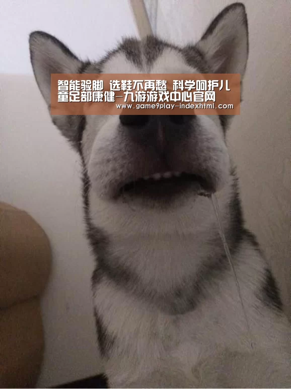 九游游戏中心官网