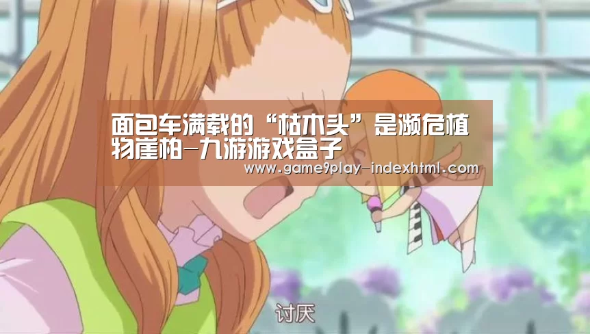 九游游戏中心官网