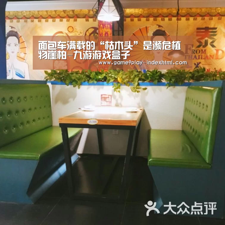九游游戏盒子