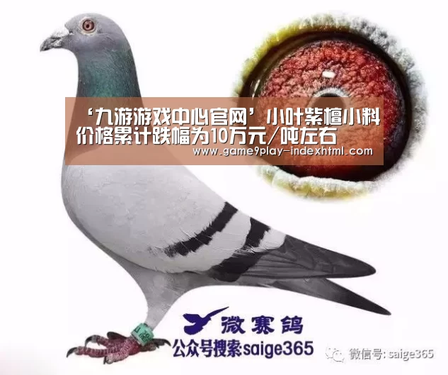 九游游戏平台官网