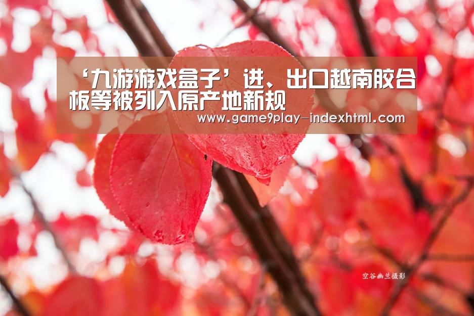 九游游戏盒子